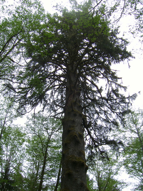SA702739.JPG