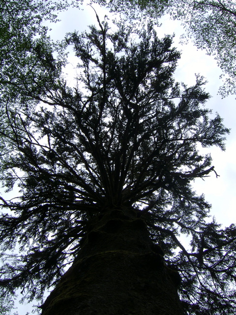 SA702740.JPG