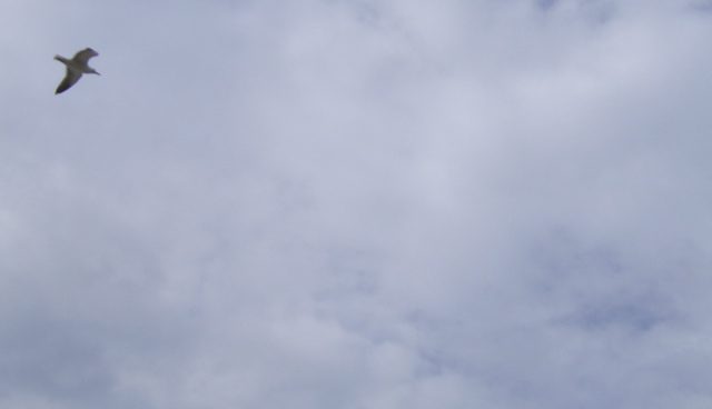 SA702759.JPG