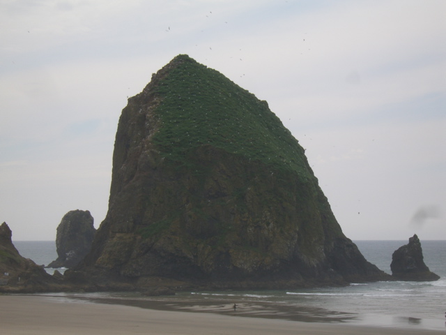 SA702781.JPG
