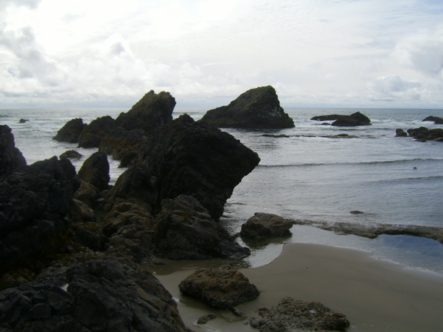 SA702958.JPG