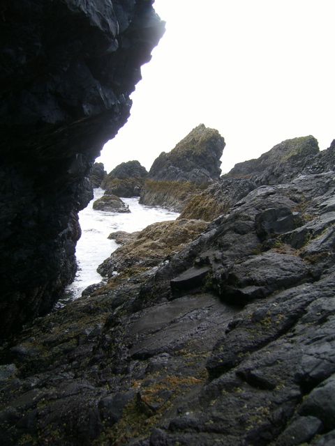 SA702982.JPG