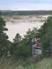 SA703078.JPG