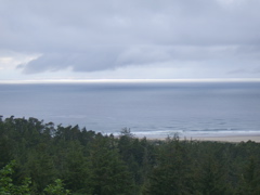 SA703085.JPG