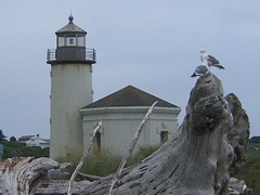 SA703139.JPG
