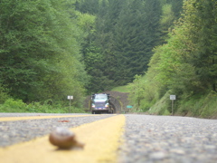 SA702649.JPG