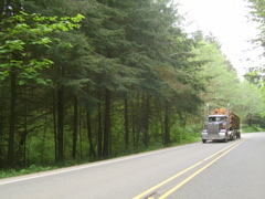 SA702737.JPG