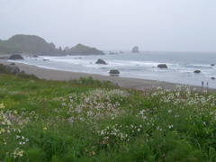 SA703407.JPG