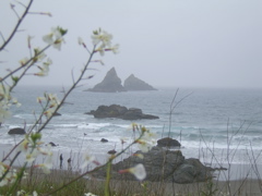 SA703409.JPG