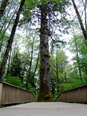 SA702738.JPG