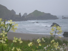 SA703411.JPG