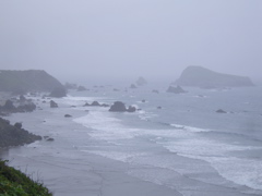 SA703414.JPG