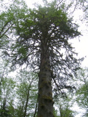 SA702739.JPG