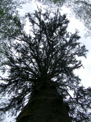 SA702740.JPG