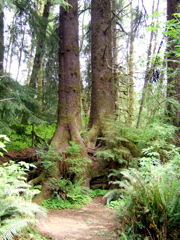 SA702745.JPG