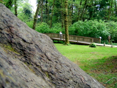 SA702748.JPG