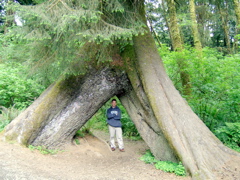 SA702750.JPG