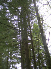 SA702631.JPG