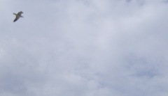 SA702759.JPG