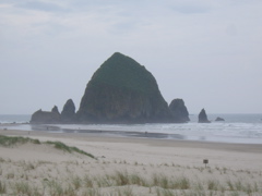 SA702768.JPG