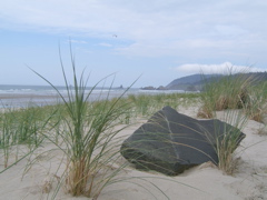 SA702771.JPG