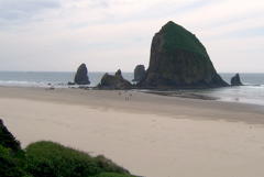 SA702773.JPG