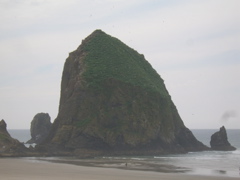 SA702781.JPG