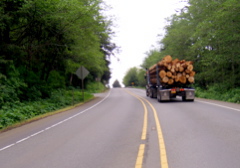 SA702802.JPG