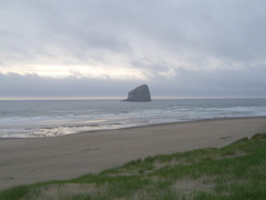 SA702874.JPG