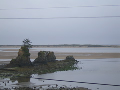 SA702881.JPG
