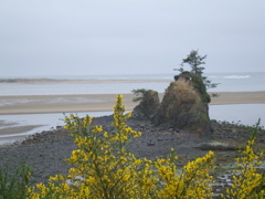 SA702883.JPG
