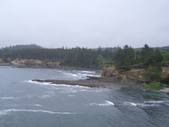 SA702888.JPG