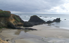 SA702939.JPG