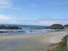 SA702940.JPG