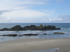 SA702951.JPG