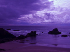 SA702952.JPG copy