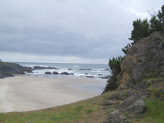 SA702953.JPG