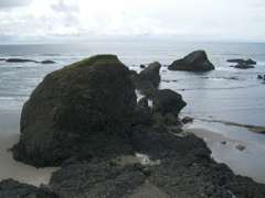 SA702955.JPG