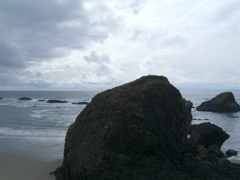 SA702956.JPG