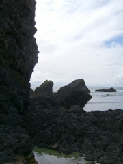 SA702957.JPG