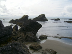 SA702958.JPG