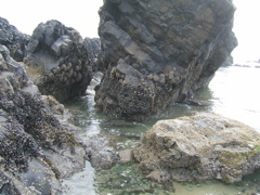 SA702963.JPG