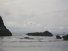 SA702974.JPG