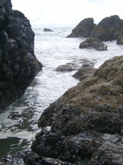 SA702979.JPG