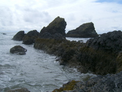 SA702981.JPG
