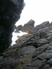 SA702982.JPG