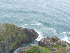 SA703025.JPG