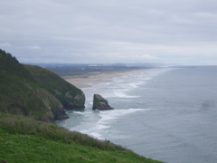 SA703028.JPG