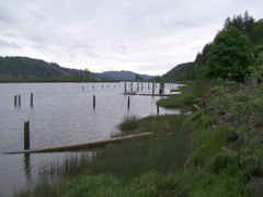 SA703048.JPG