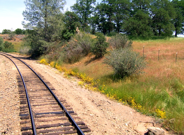 SA704854.JPG